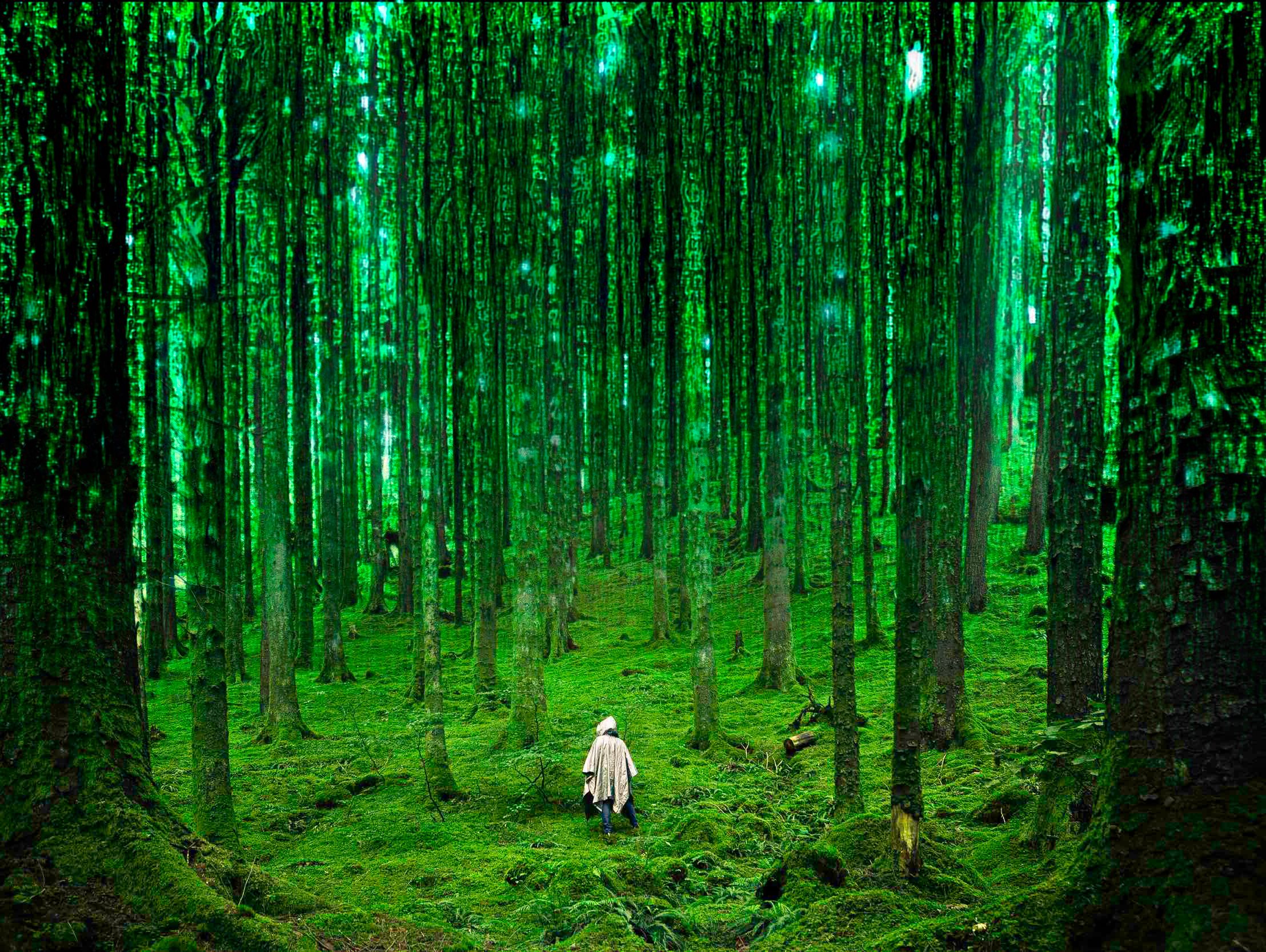 featured image - Reboot: A New Operating System for Humanity