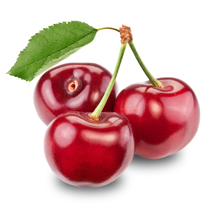 /cherrypy-introduction-simple-python-library-for-quick-application-development-pe1h3tuw feature image