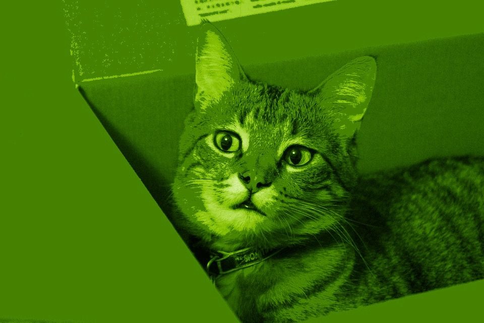 /how-to-protect-your-company-in-the-quantum-computing-age-peo3w4h feature image