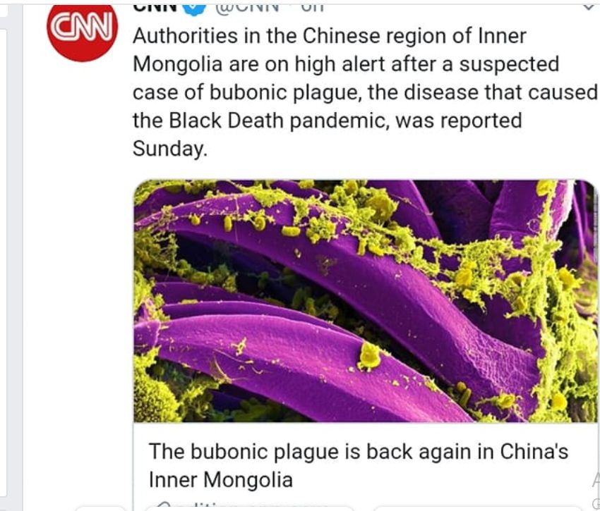featured image - Covid v2.0 (Black Death v2.0): CNN Reports Bubonic Plague in China