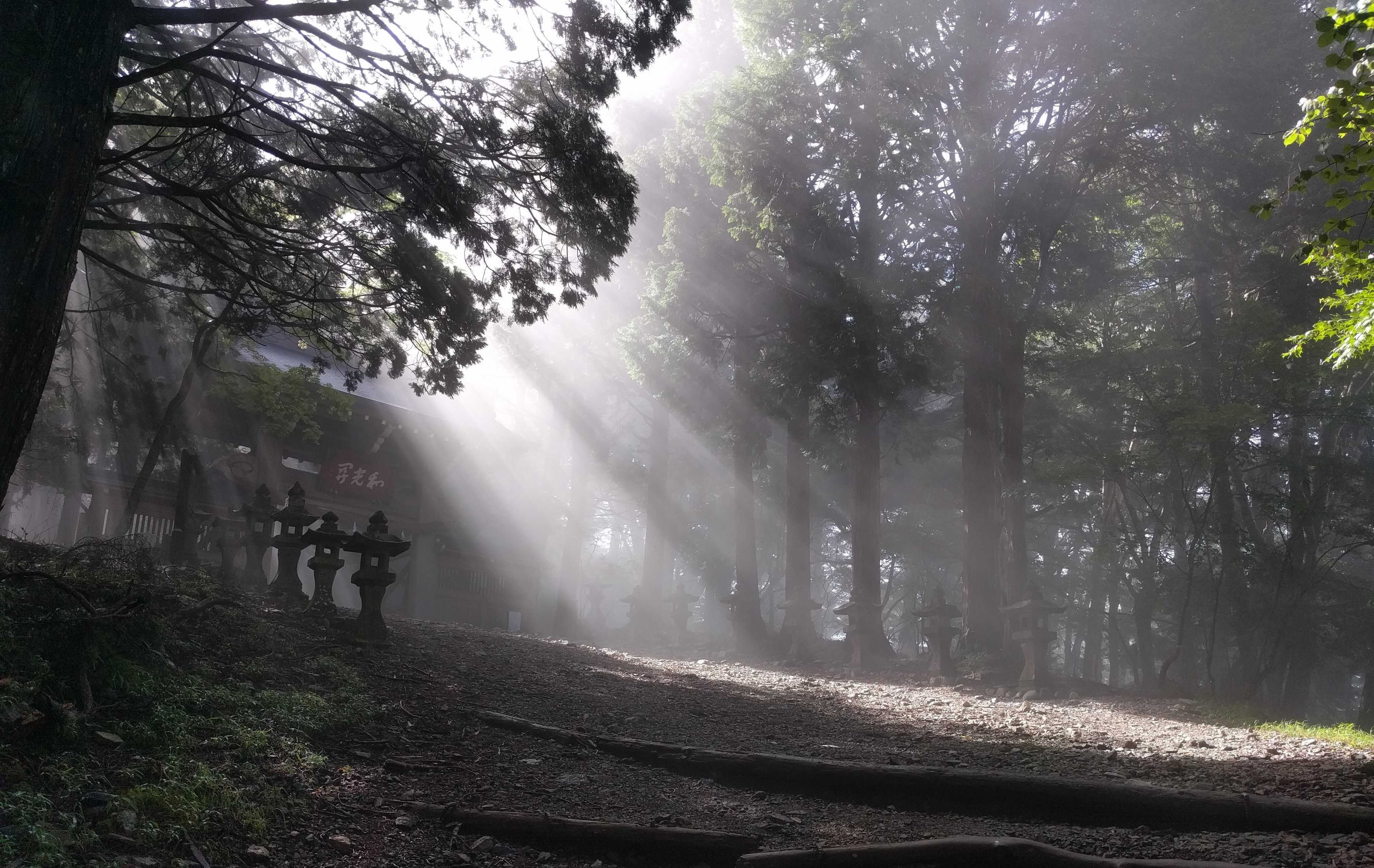 featured image - 5 Things The Coronavirus Taught Me About Life