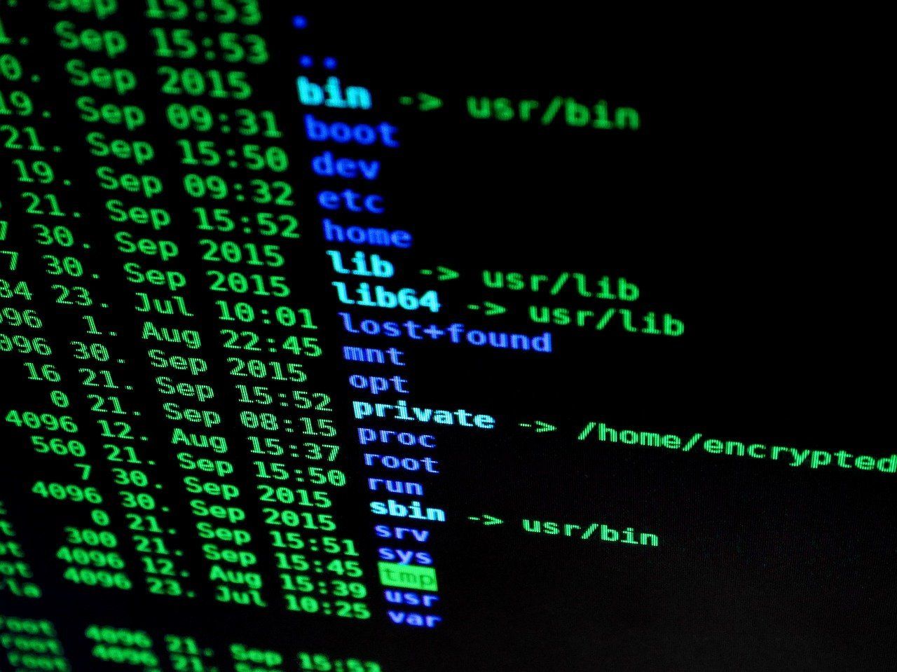 Learn Repo's image-c7e9b