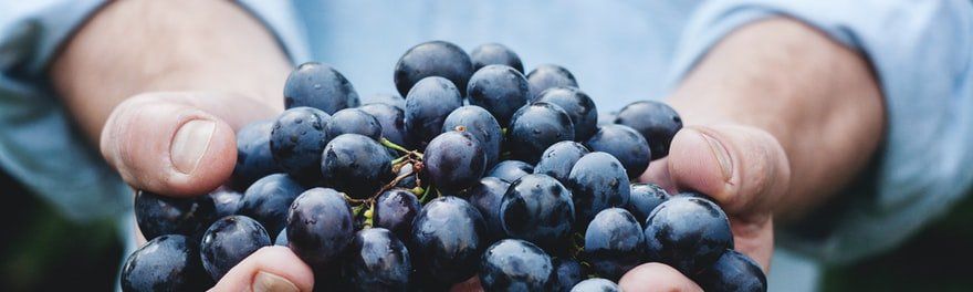 featured image - Scalable Aggregates: Reducing Complexity in Command Handlers