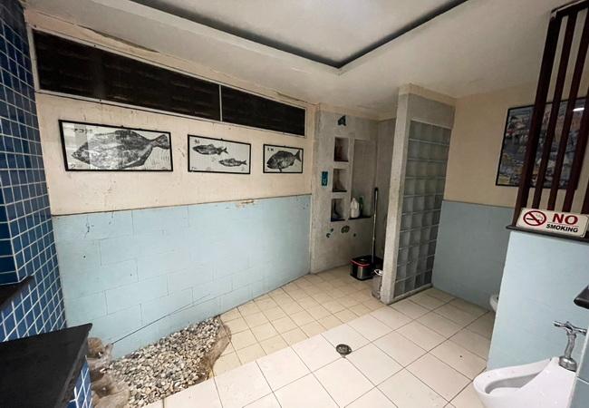 Property 10