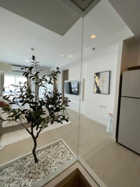 Property 10