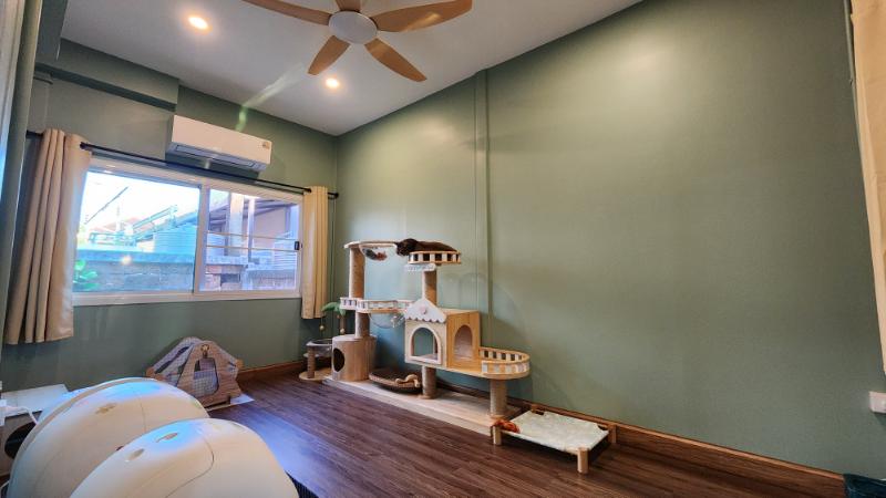 Property 8