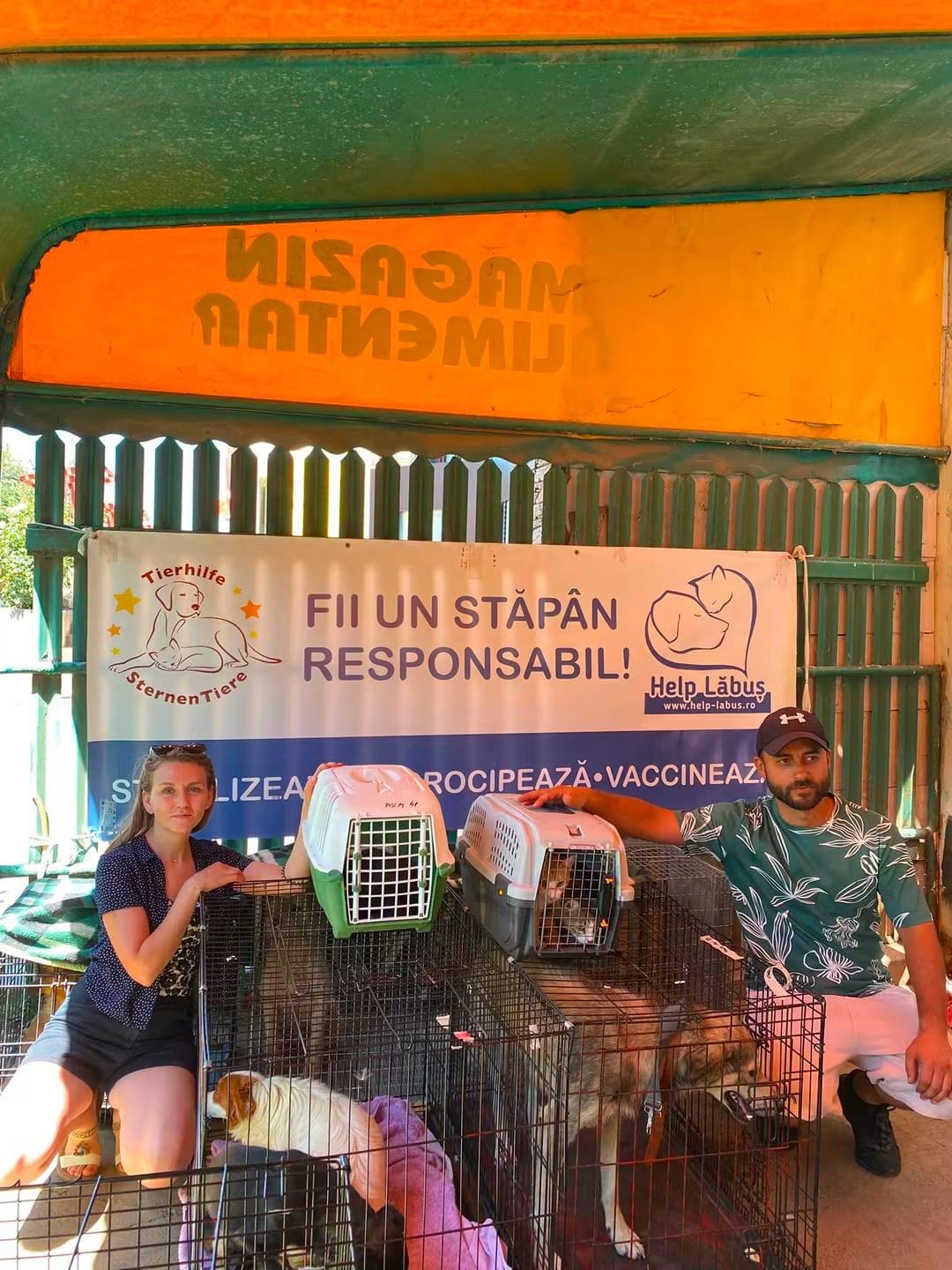 Sterilisation and responsible ownership campaign