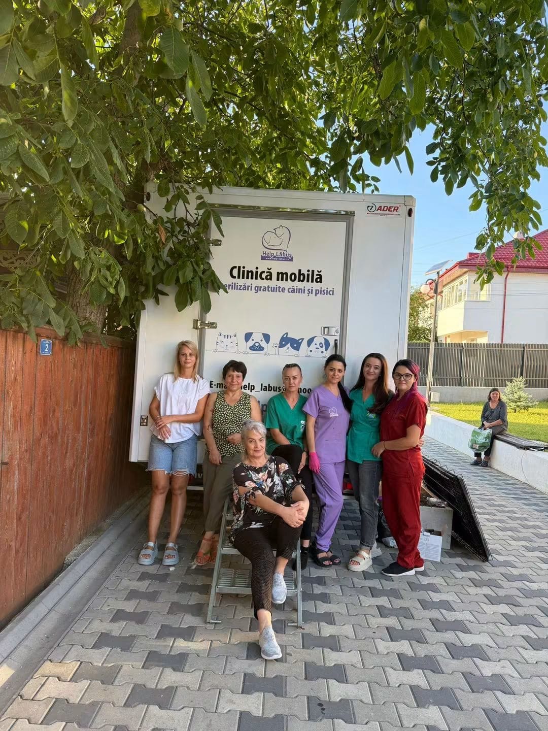 Help Lăbuș team during a sterilisation campaign
