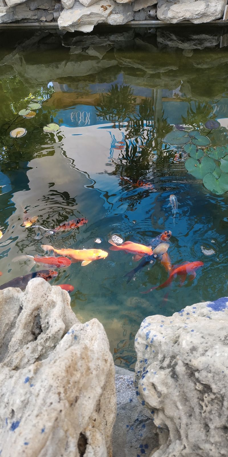 ZOOcafe photo 2