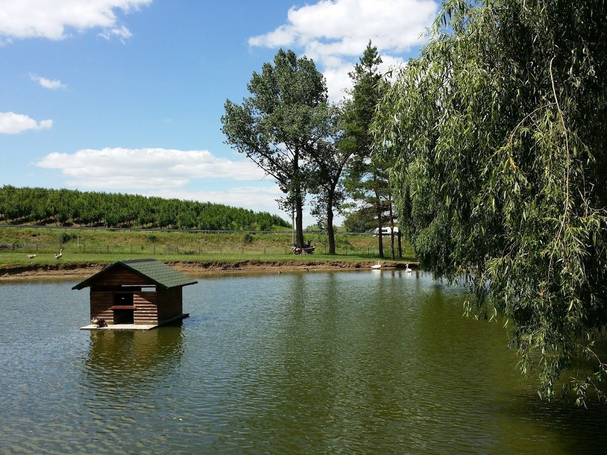 Iarna photo 4