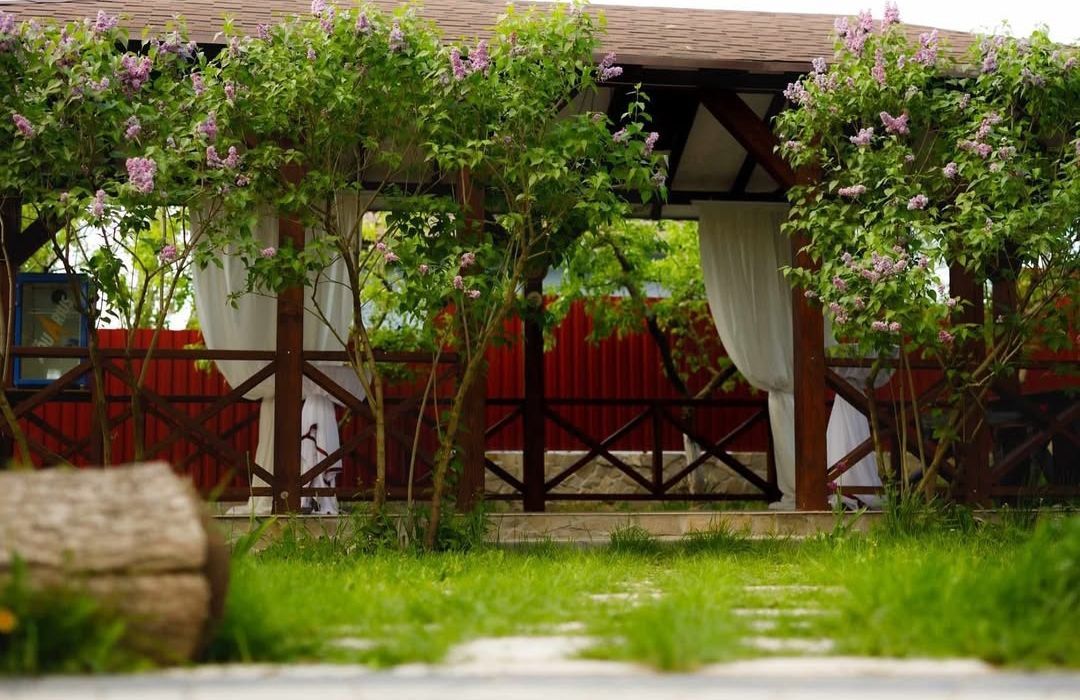 Casa cu tradiții Măcărești photo 4