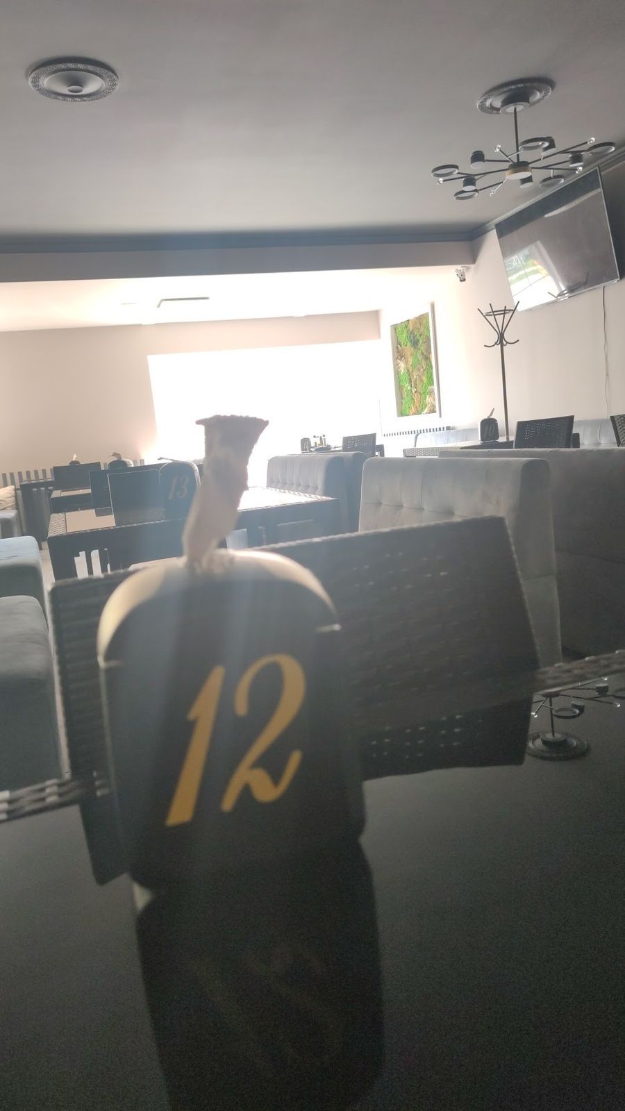 Отель Парадис Кантемир photo 3