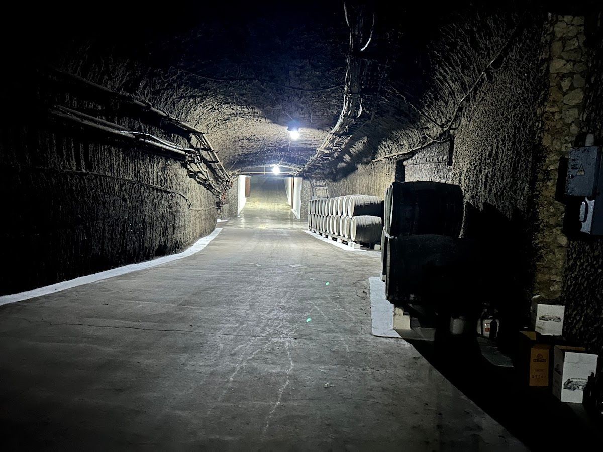 Branesti Cellars photo 2