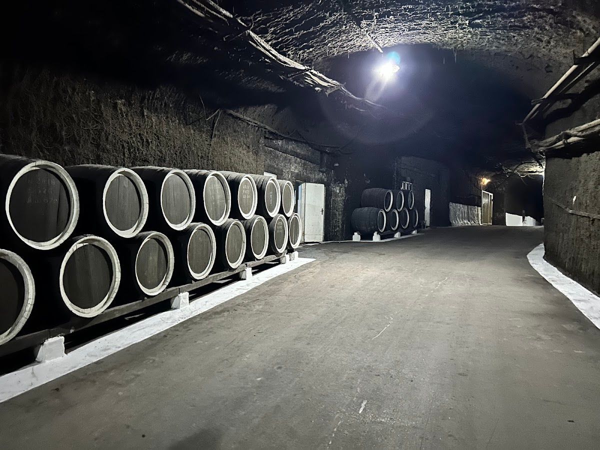 Branesti Cellars photo 4