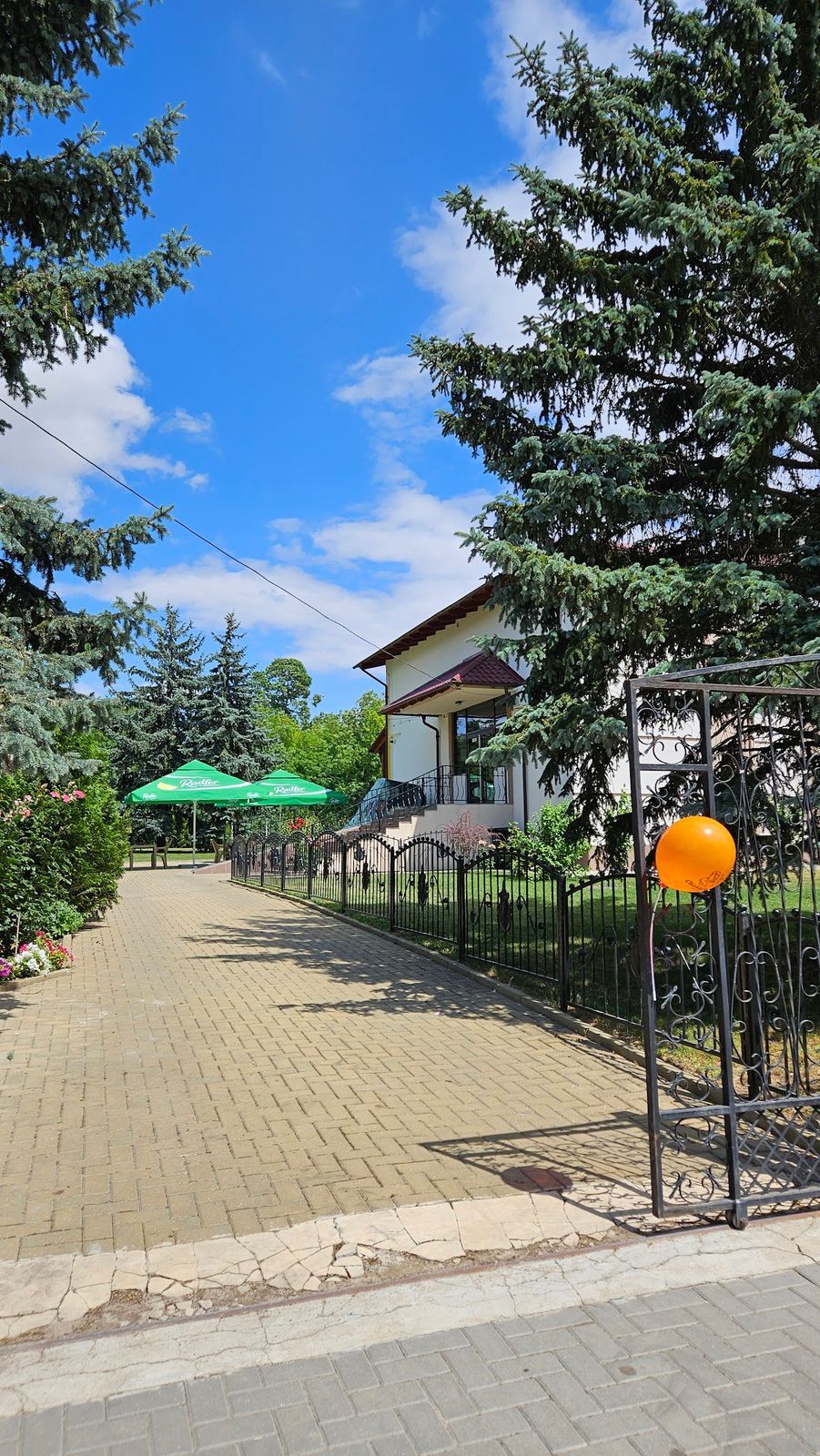 Чик & Чипс photo 3
