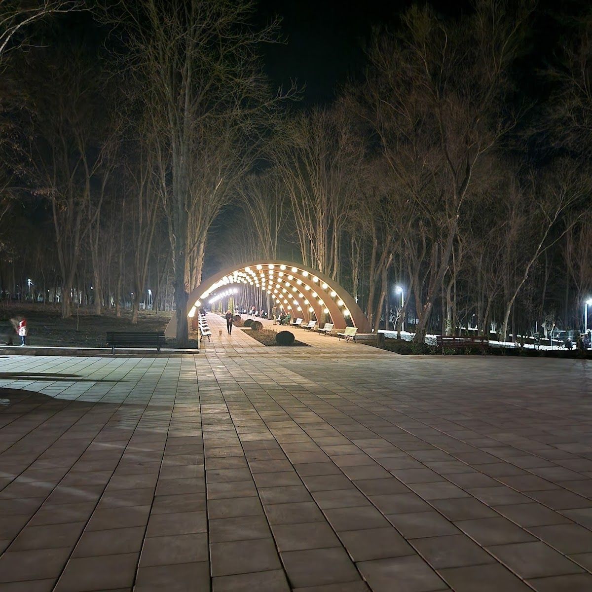 Restaurant Orhei photo 4