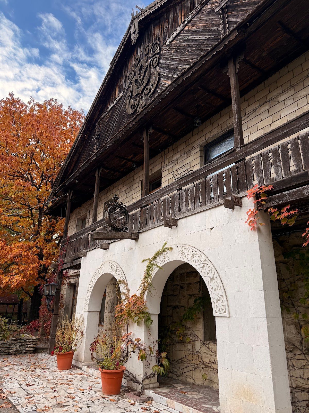 Stejăriş photo 2