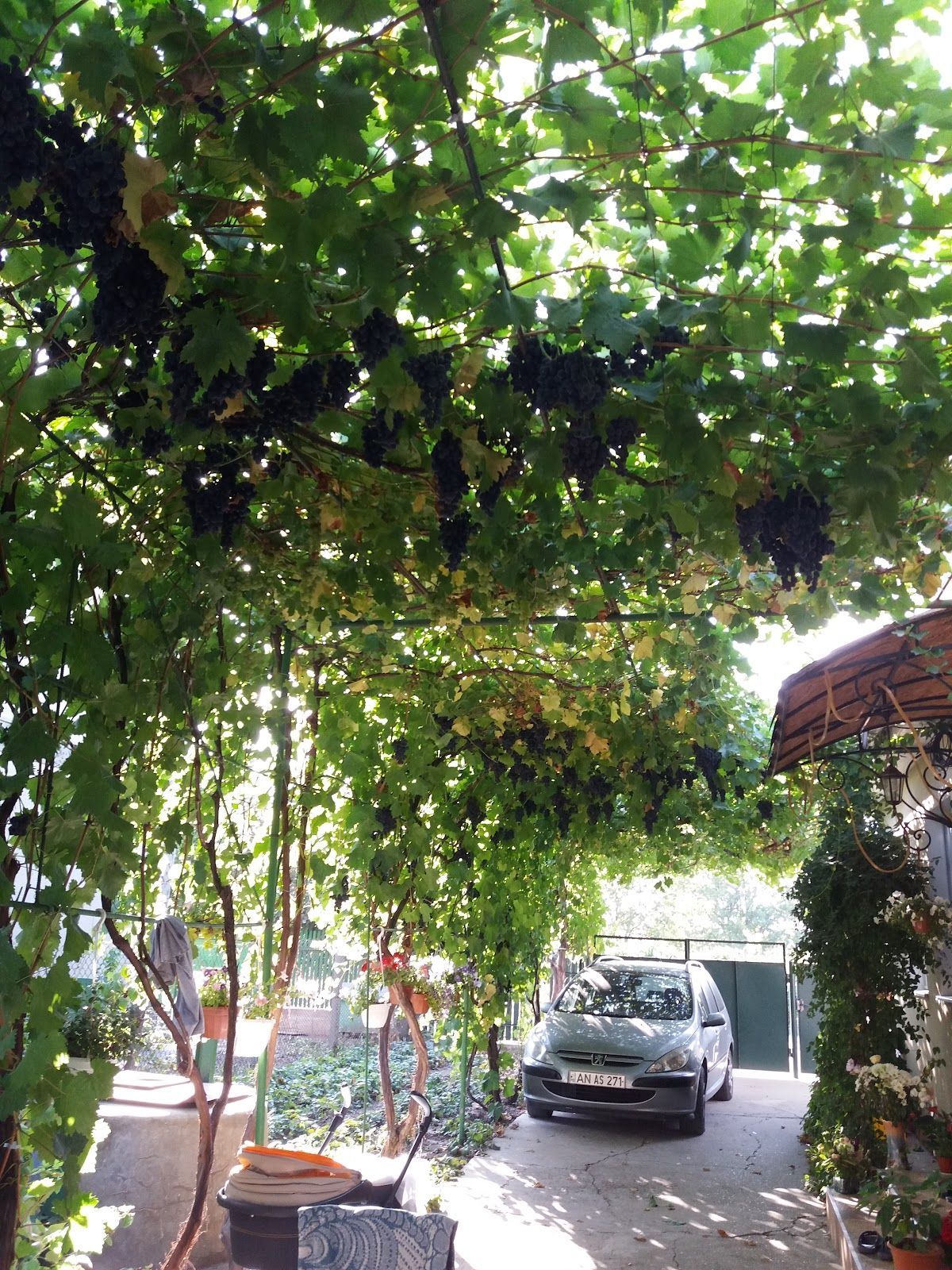 Бухэтэрия Ромыняскэ photo 4