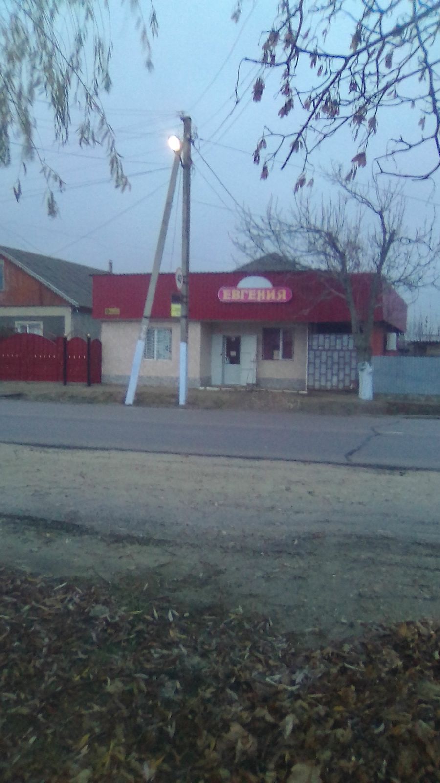 Evghenia photo 2