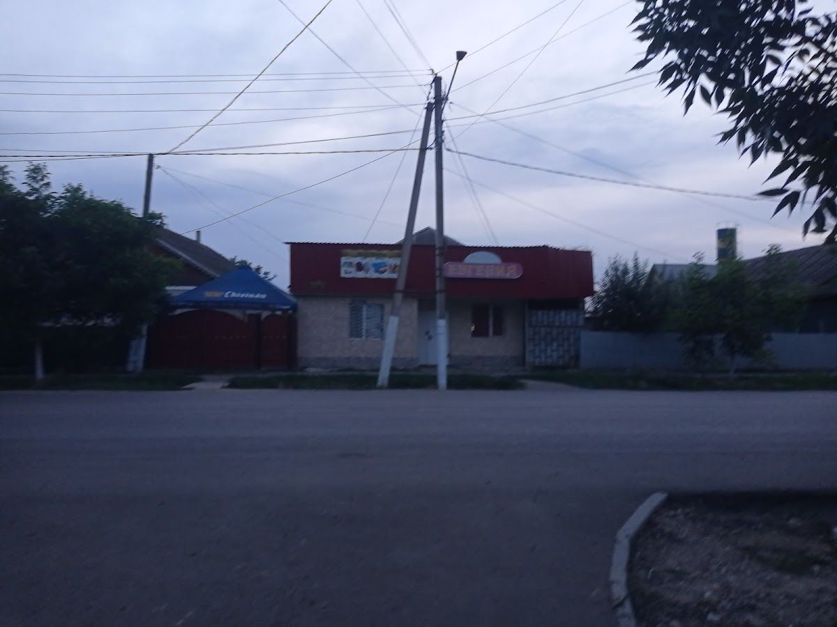 Evghenia photo 4