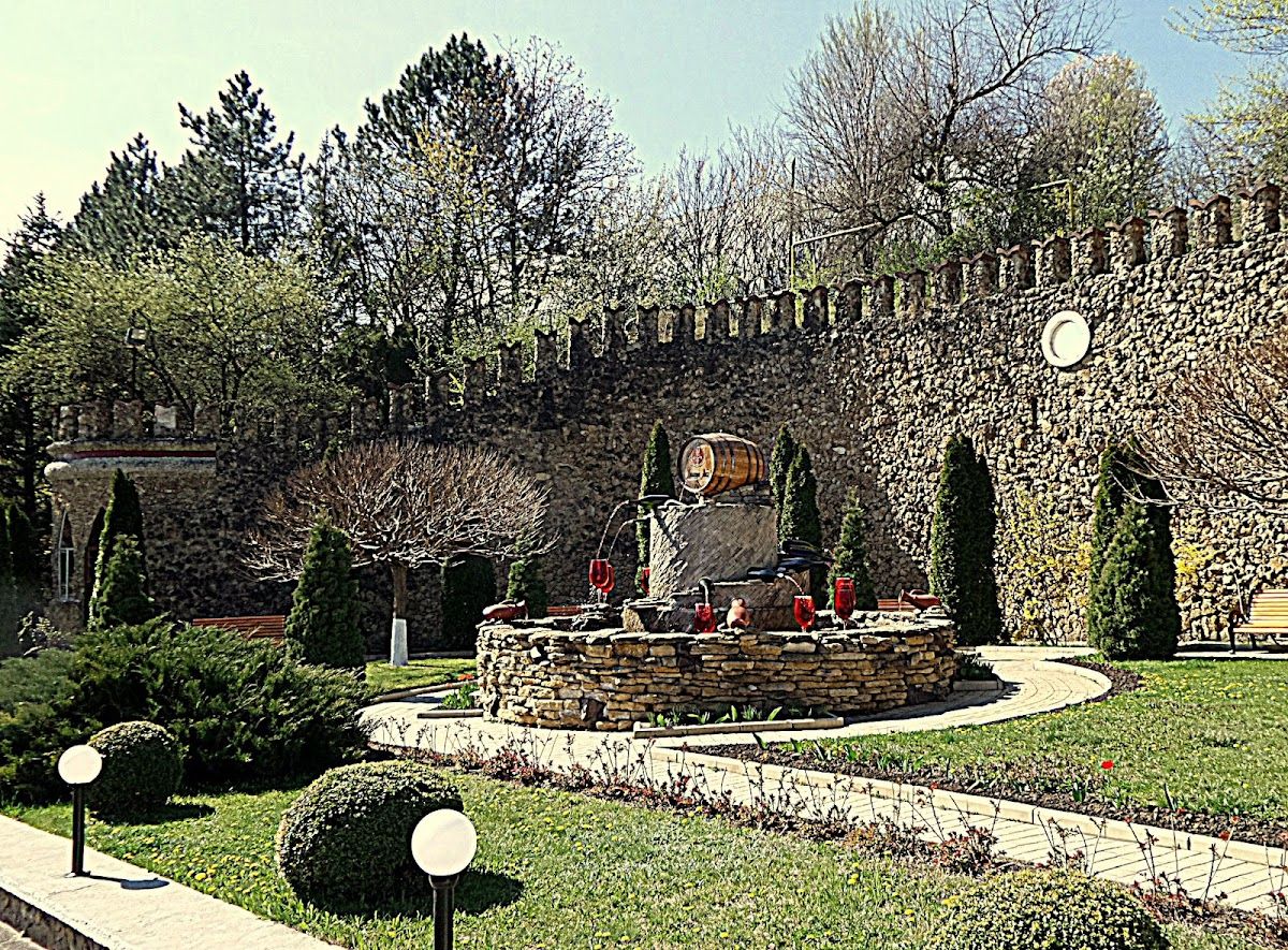 Вынэрия Агричь photo 1