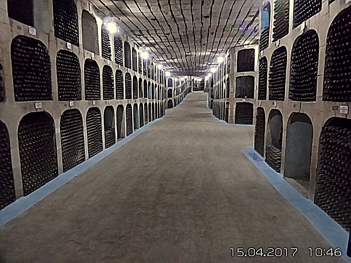 Вынэрия Агричь photo 2