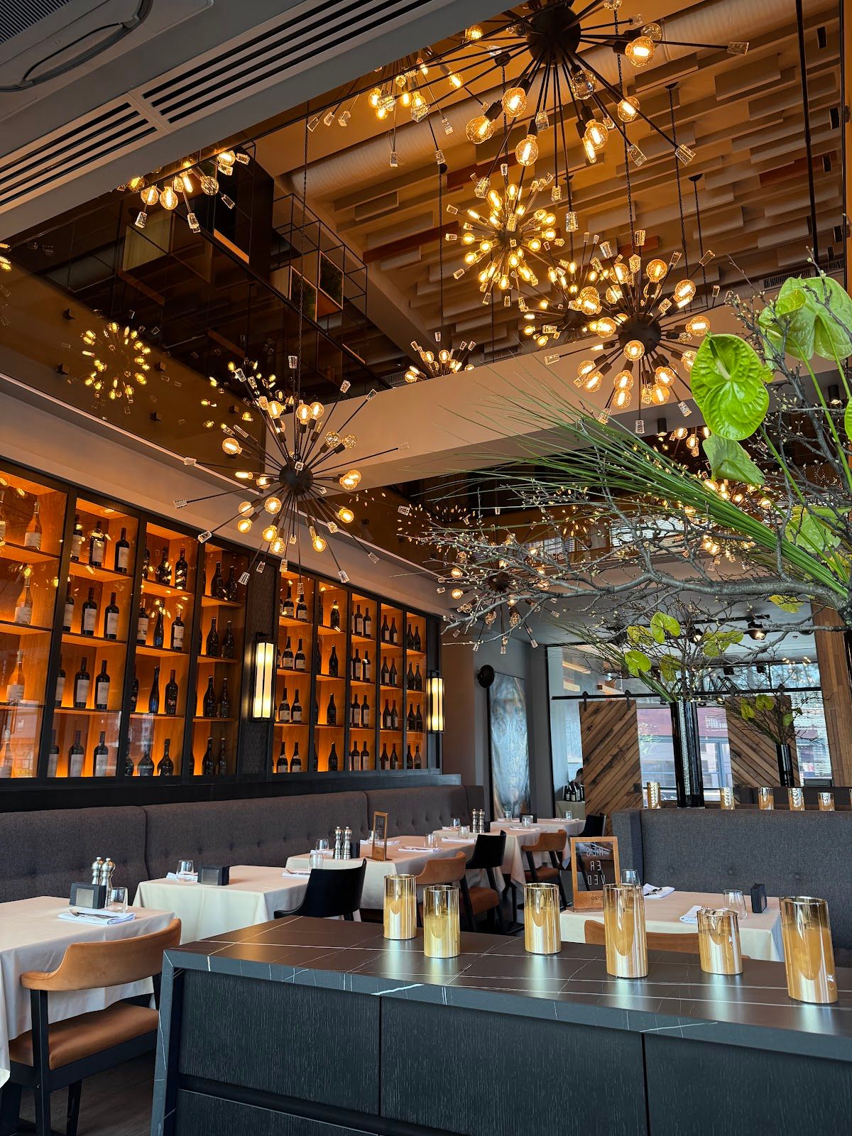 Osho Bar & Kitchen photo 1