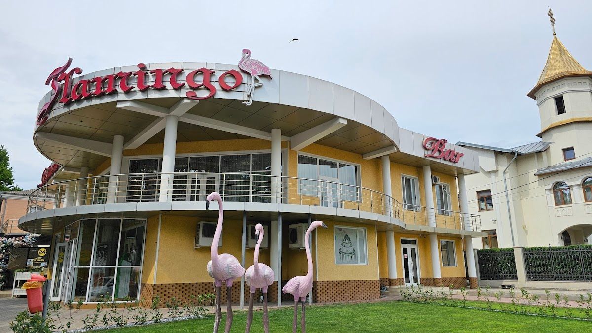 Фламинго photo 2