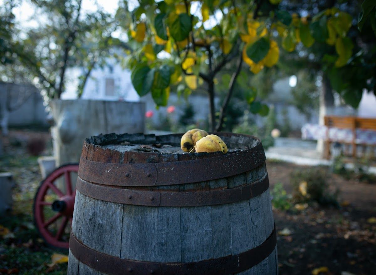 Leuntea Vin photo 3