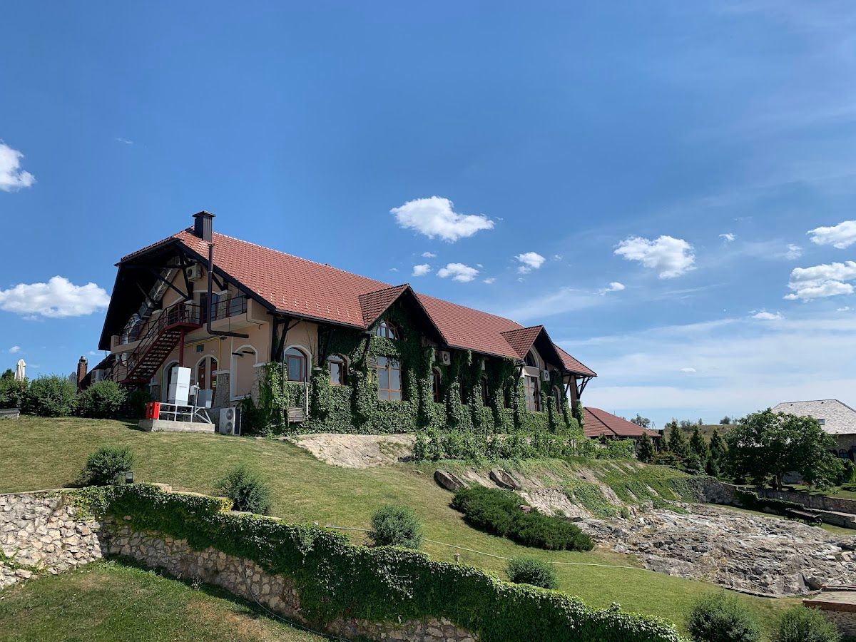 Chateau Vartely photo 2