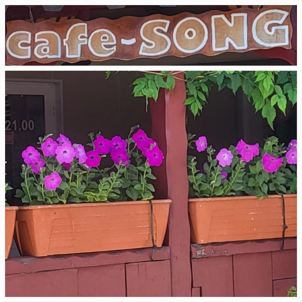 cafe -- SONG photo 2