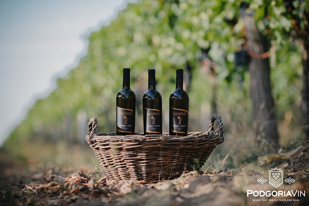 Podgoria Vin