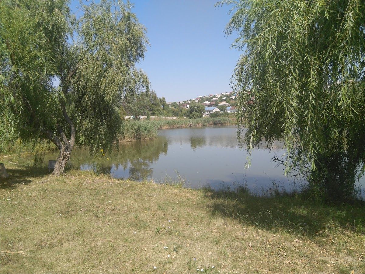 Restaurant ,,Ludmila'' photo 4