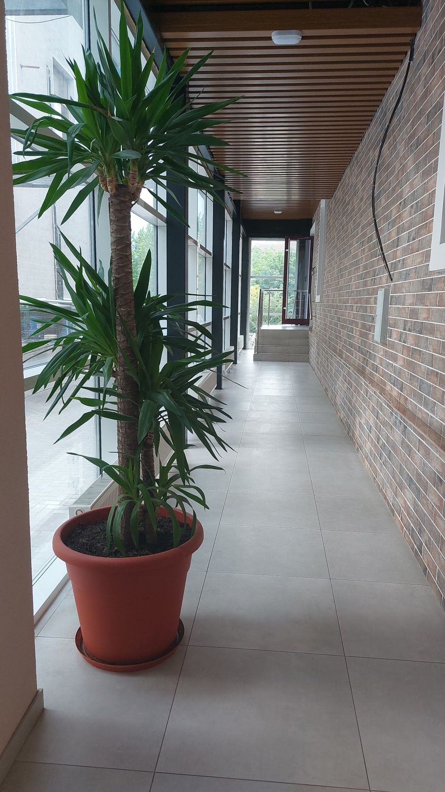 Бродецки photo 2