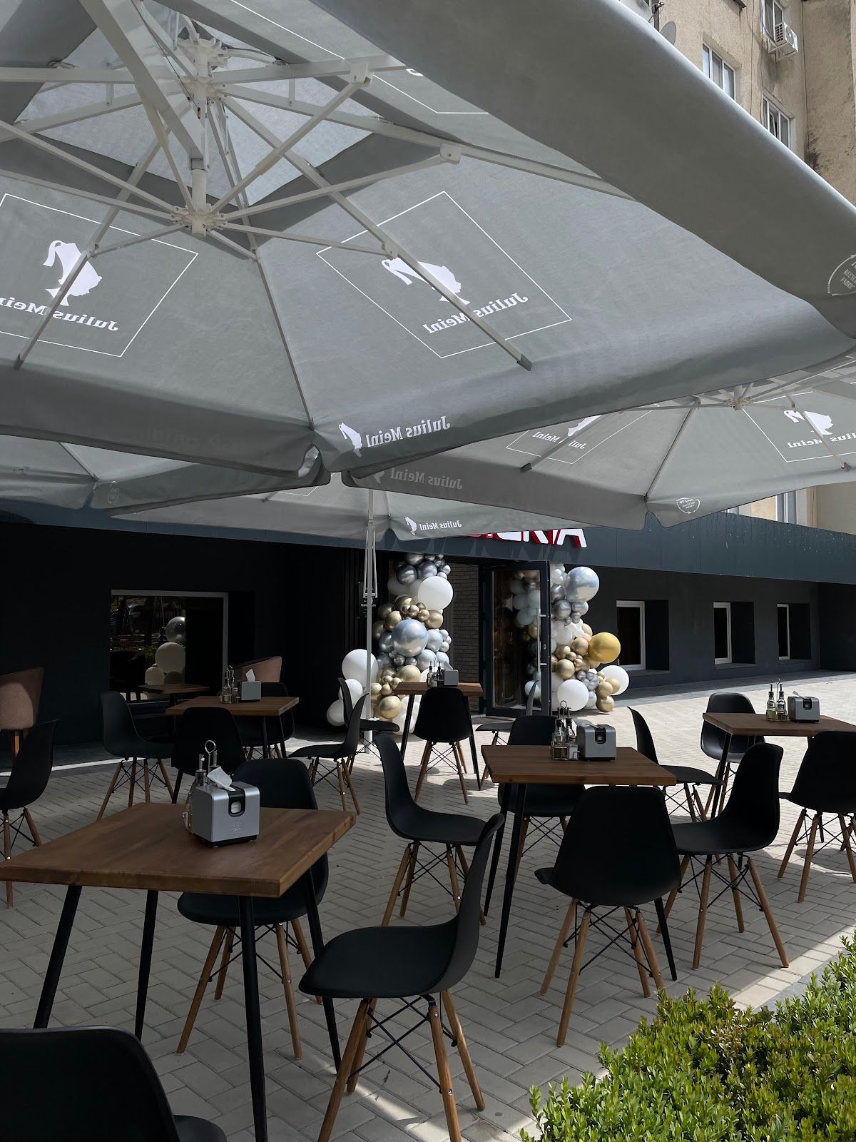 Mosteria photo 3