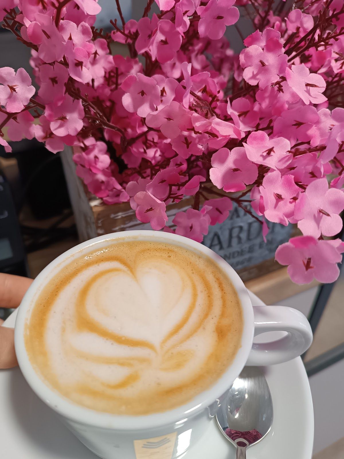 DOZA coffe photo 4