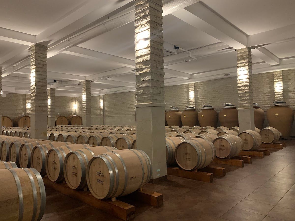Château Purcari photo 3