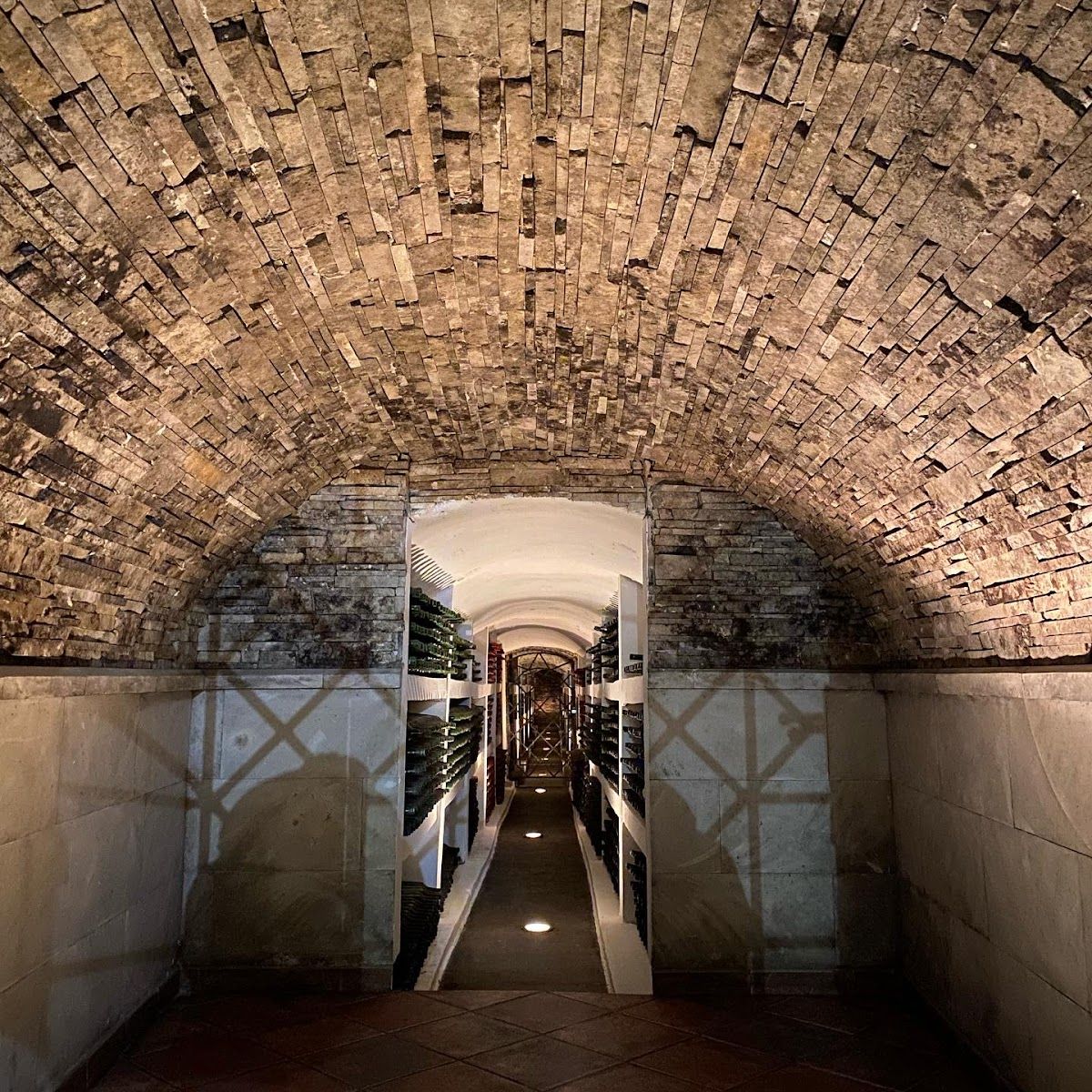 Château Purcari photo 4