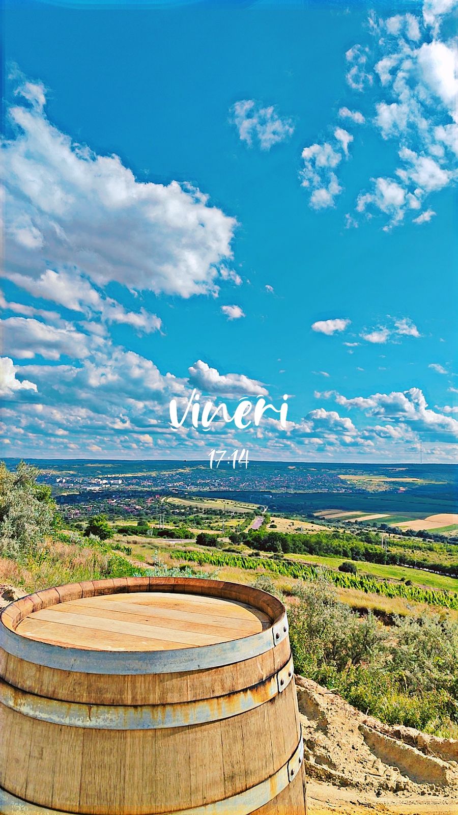 Unicorn Winery photo 4