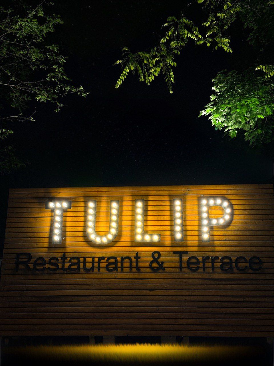 Restaurant Tulip photo 2