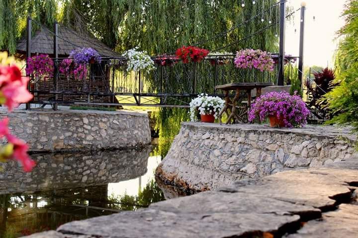Lacul Verde photo 3