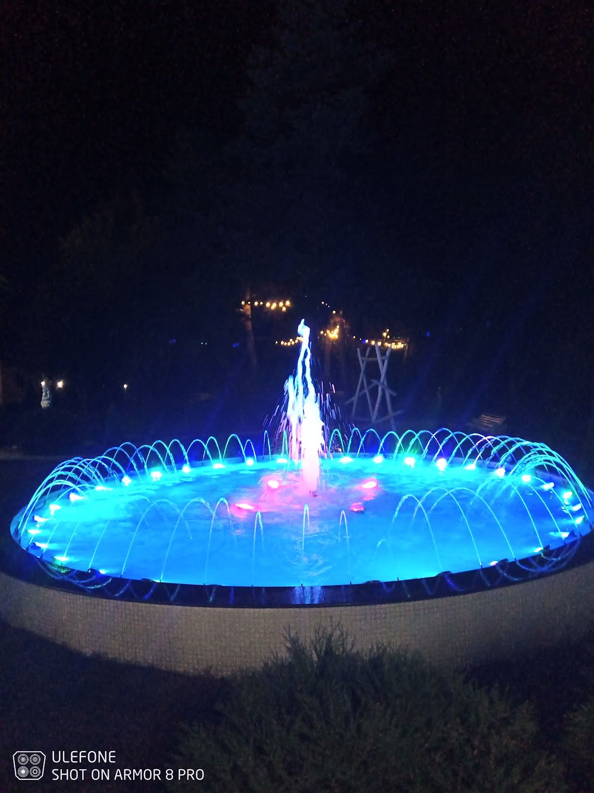 Vila Albă photo 3