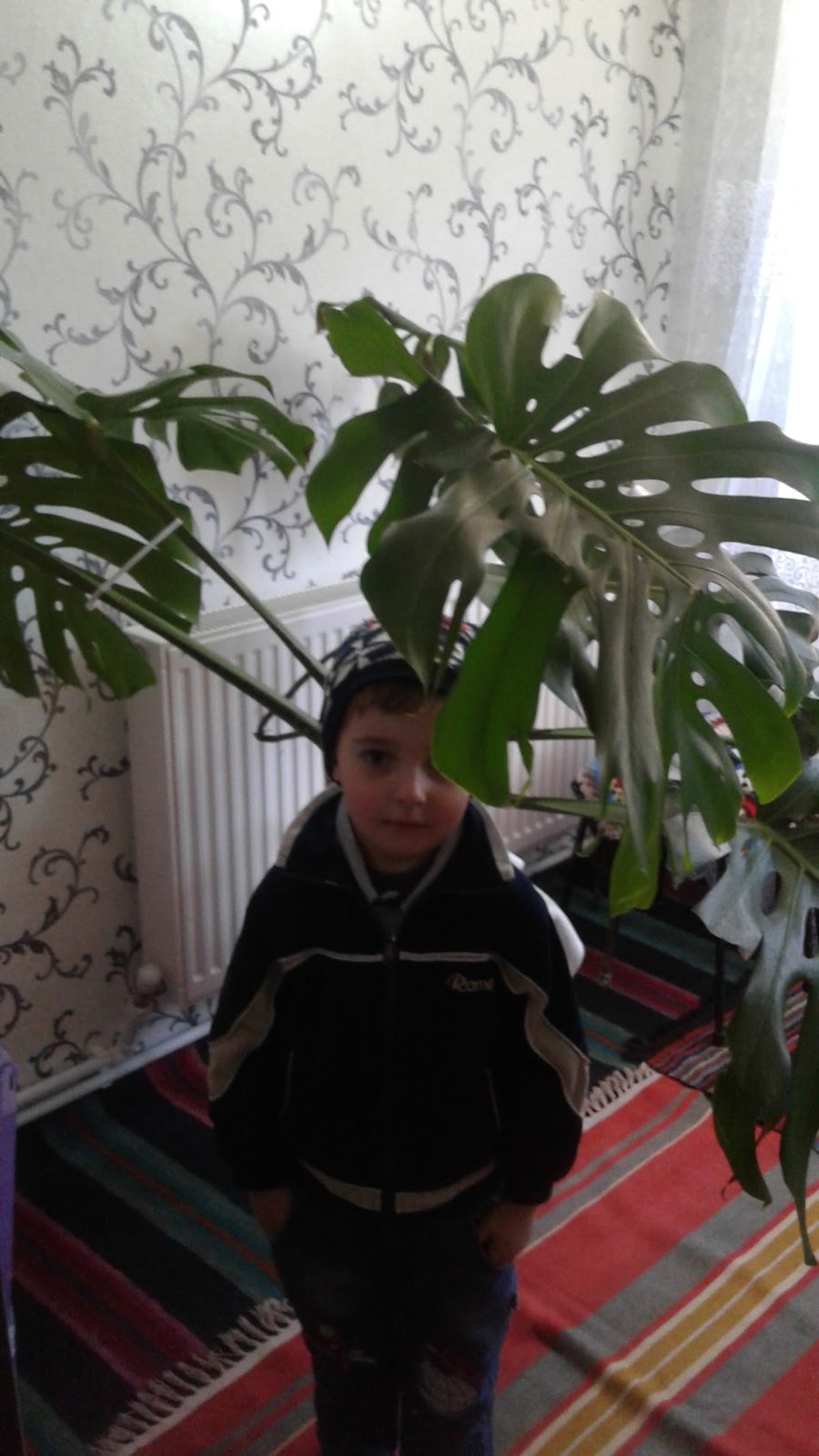 Кафенеа Сержиу Русу photo 2