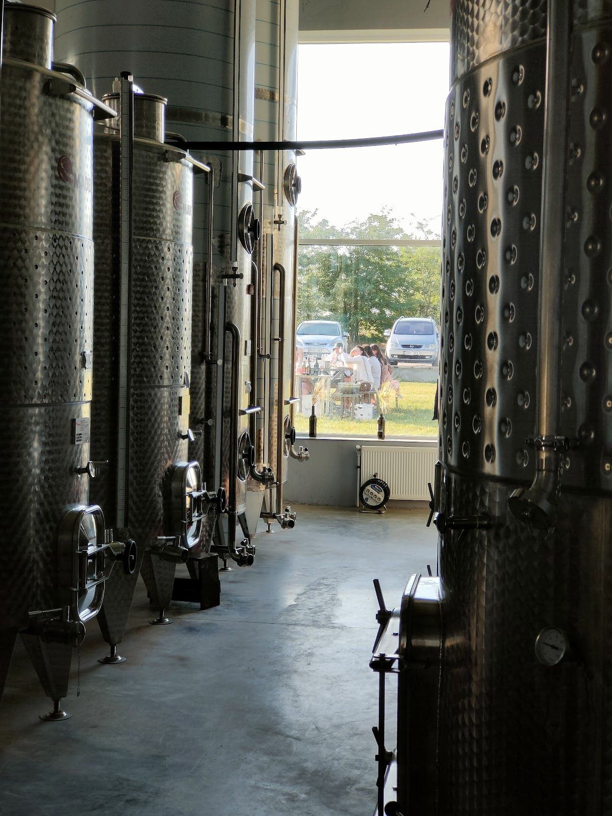 "at Mount" Winery photo 4