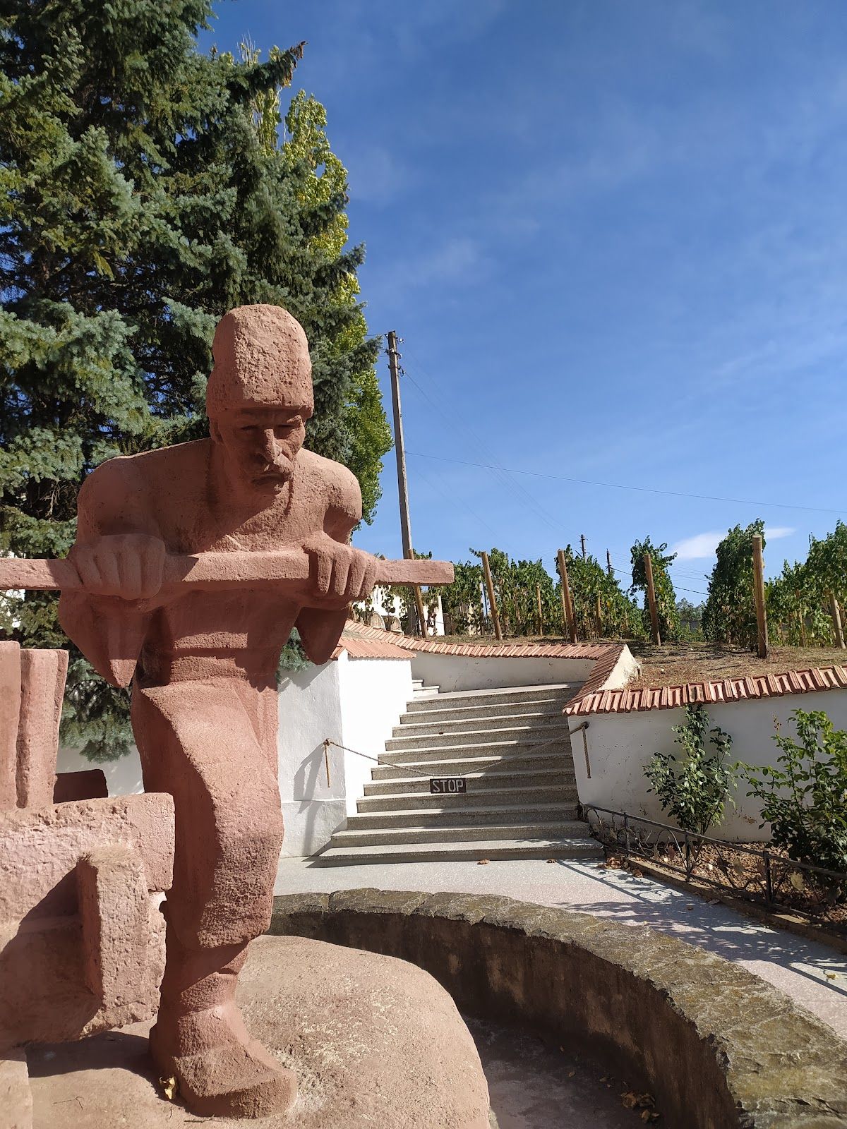 Винодельня Карлевана photo 3