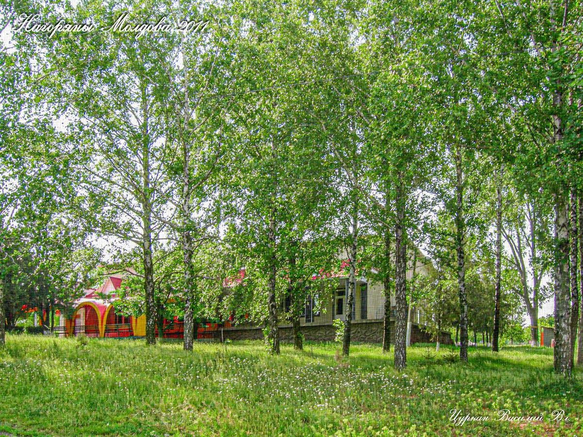 Ресторан "Горка" photo 3