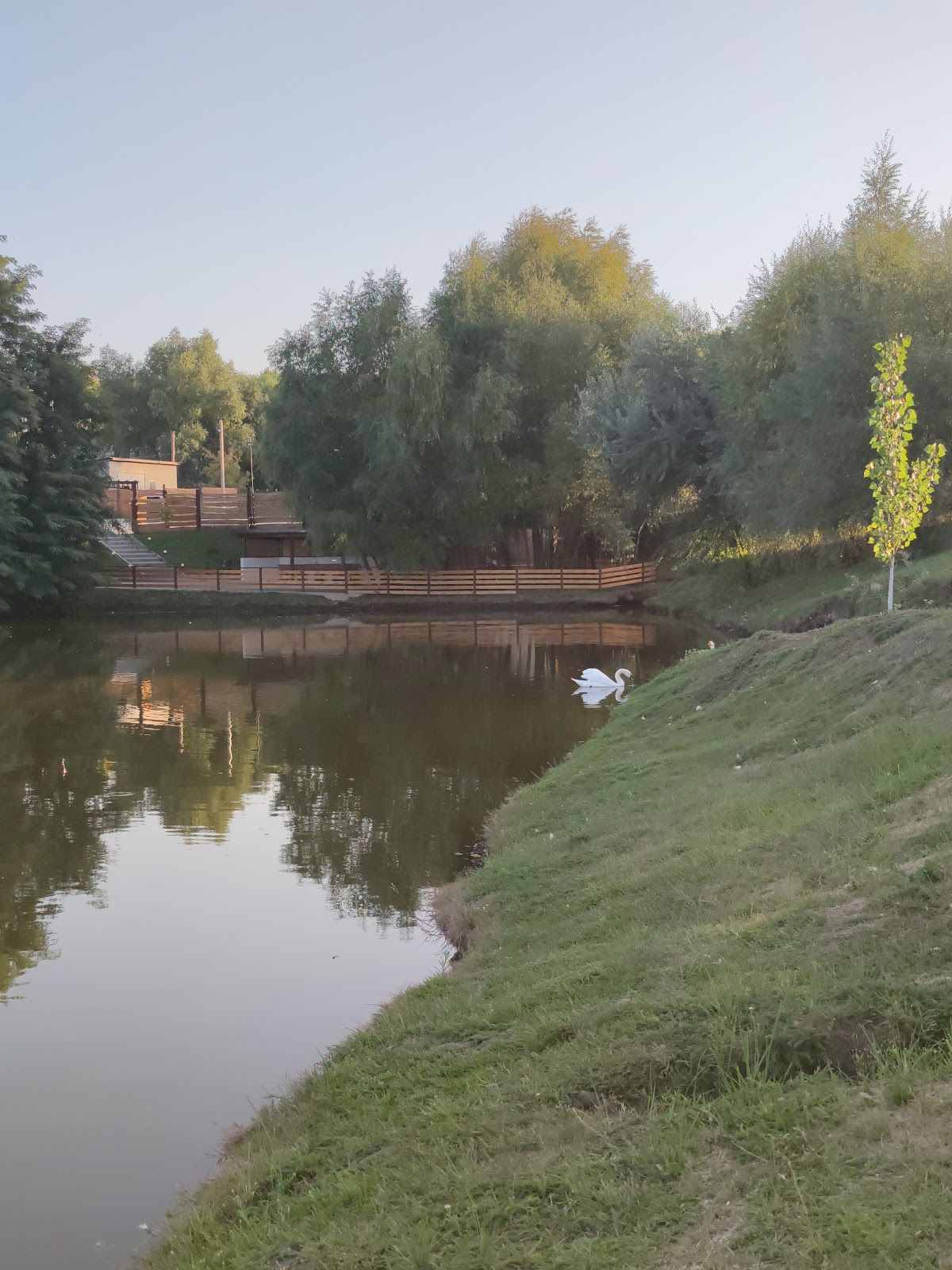 Грин Гарден Стрэшень photo 3