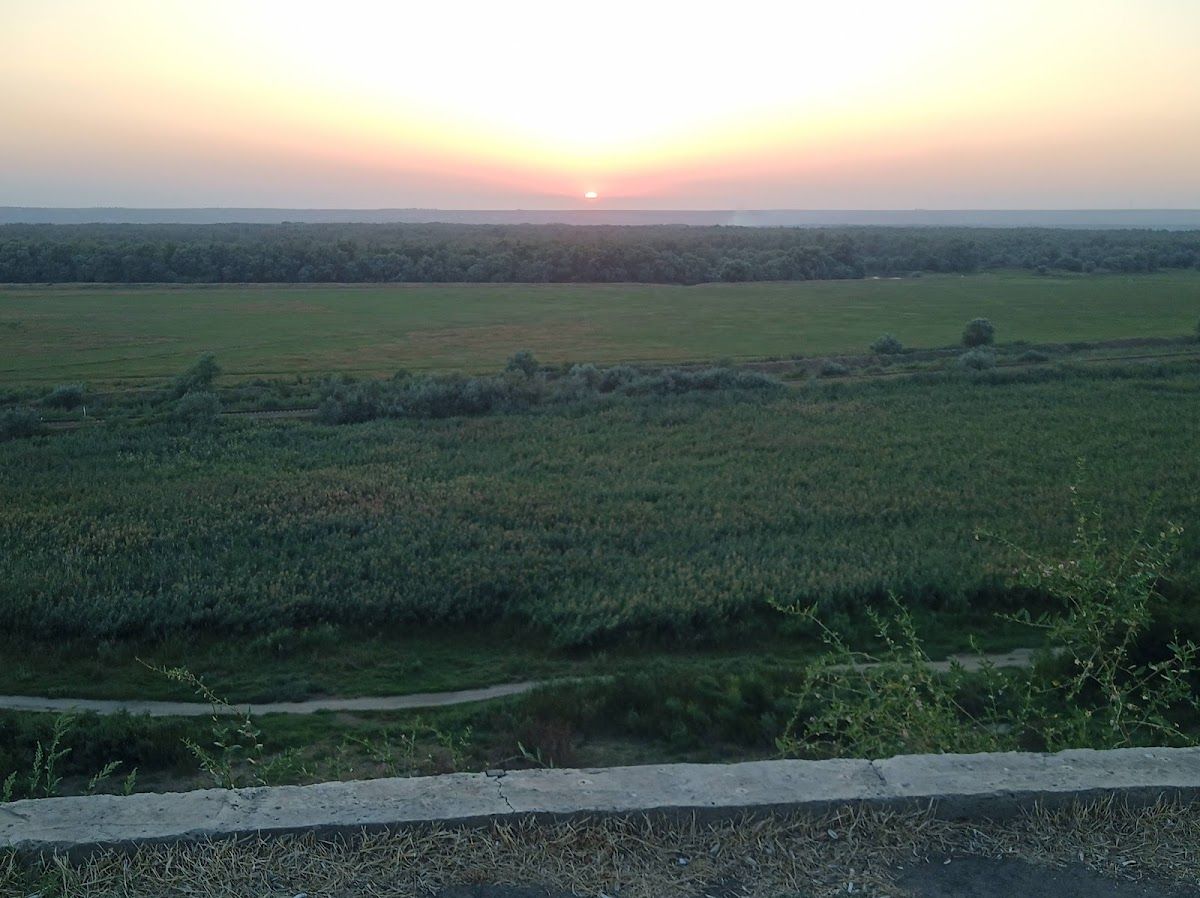 "POTCOAVA VERDE" photo 1