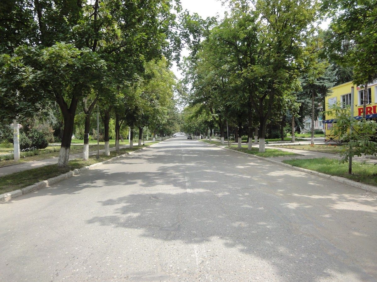Прут photo 3