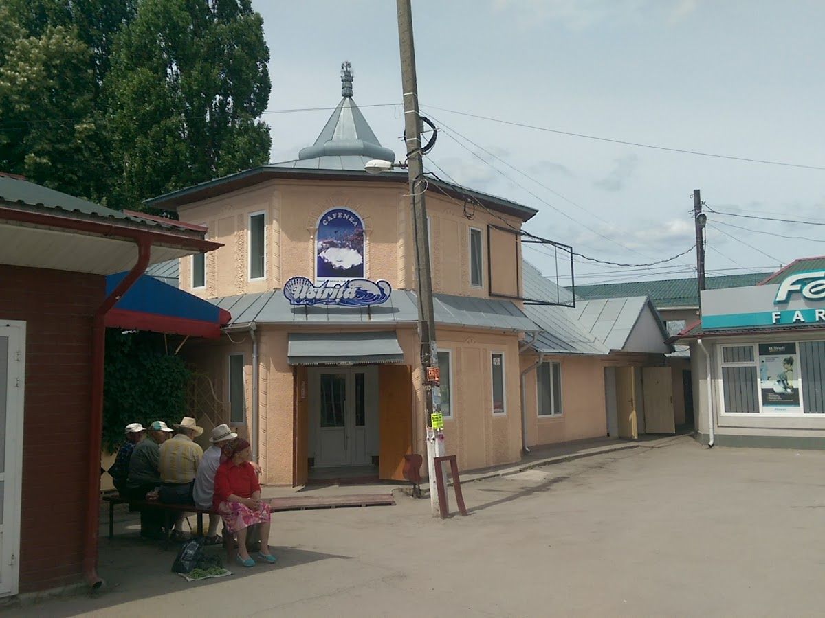Ustrita photo 1